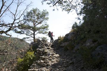 Odoo- Echantillon n° 3 pour trois colonnes