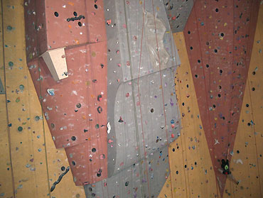 BRUSSELS MONKEY CLIMBING